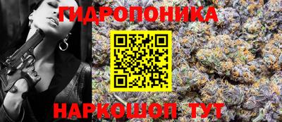 шишки Можга