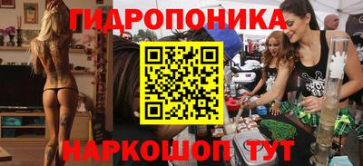 шишки Можга