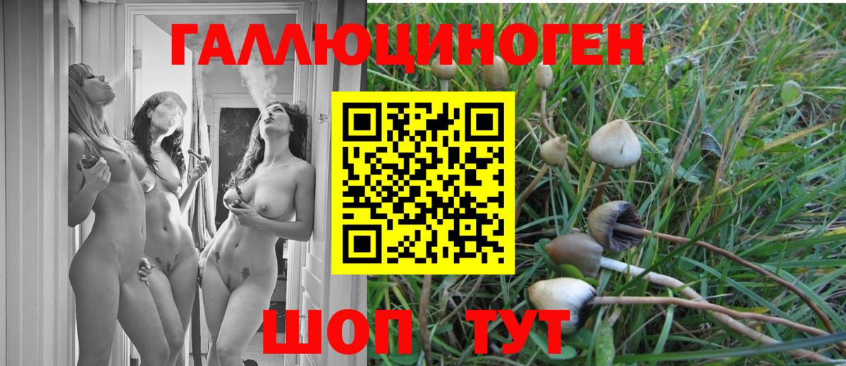 Псилоцибиновые грибы прущие грибы Рославль